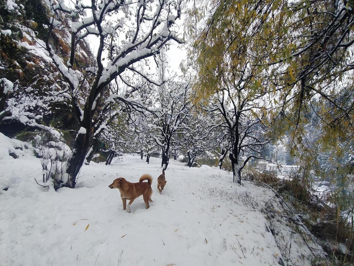 Farm Hostel And Camps Manali  Luaran gambar